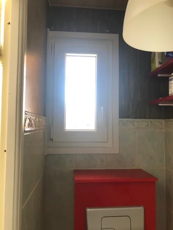 vue d'une fenêtre PVC - coloris blanc